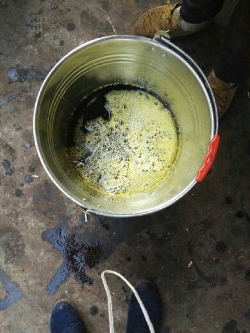 压榨菜籽油一级