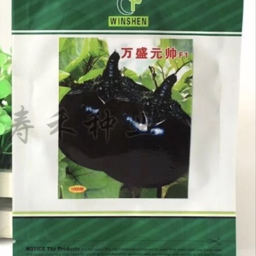 圆茄种子