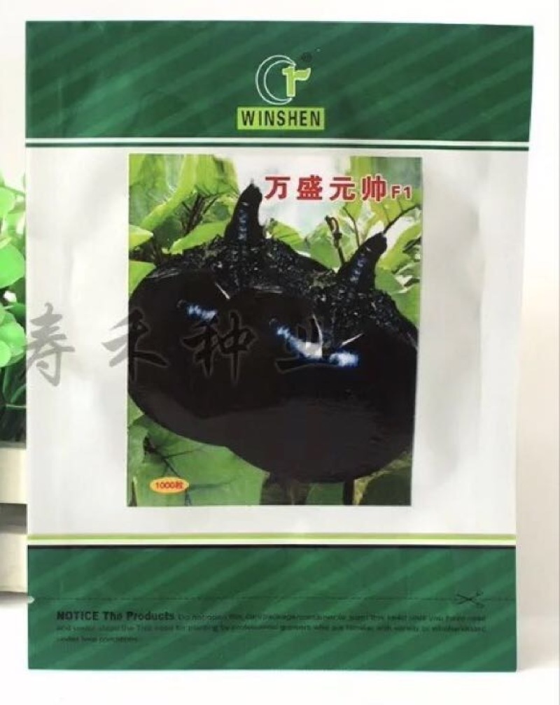 圆茄种子