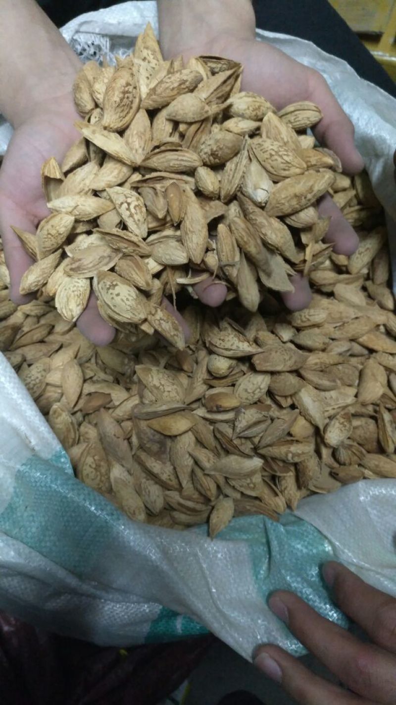 新疆巴旦木散装
