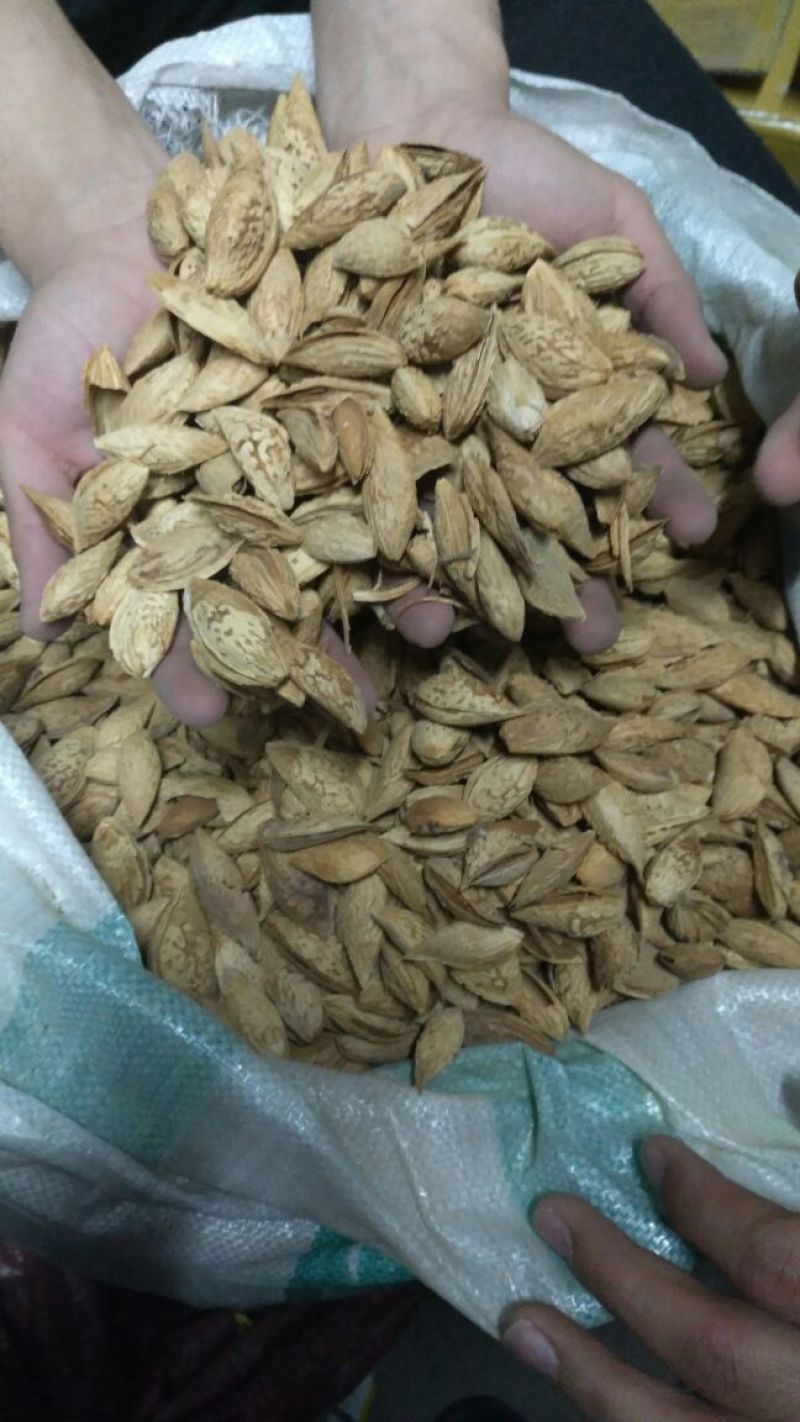 新疆巴旦木散装