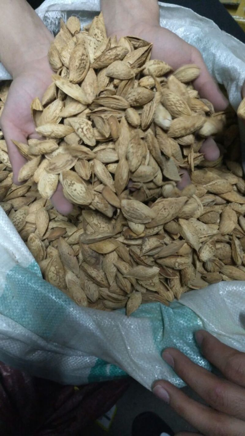 新疆巴旦木散装