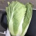 白菜4~6斤净菜