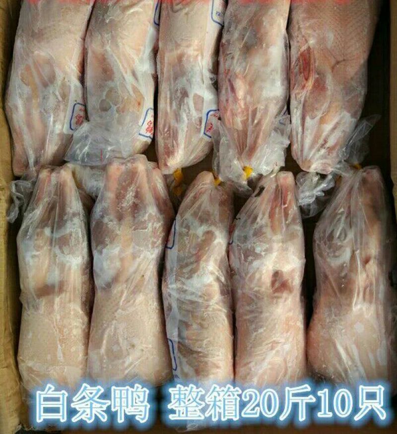 白条鸭