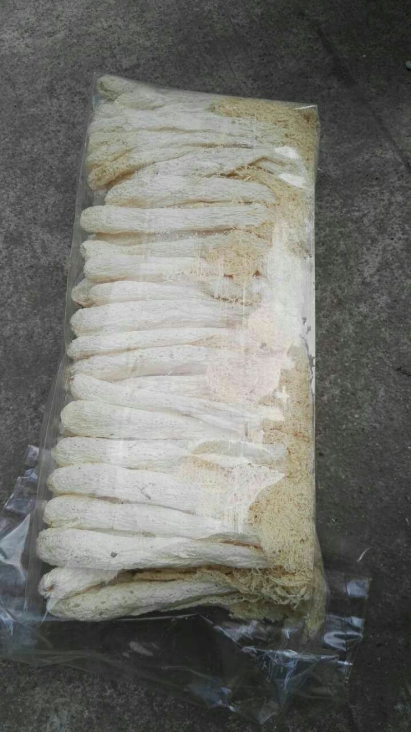 蘑菇，鲜蘑菇，食用菌，新鲜鲜姬松茸