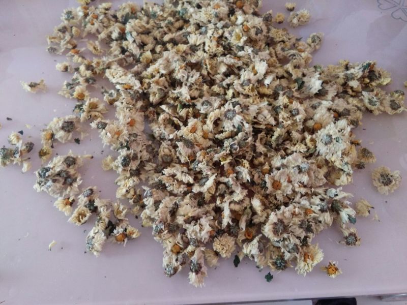 白菊花茶
