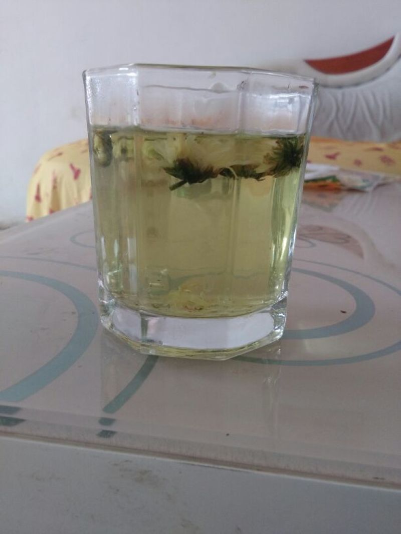 白菊花茶