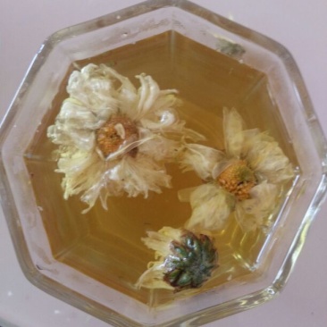 白菊花茶
