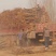 占地枣树苗小枣苗冬枣苗基地直供现挖现发免提供技术