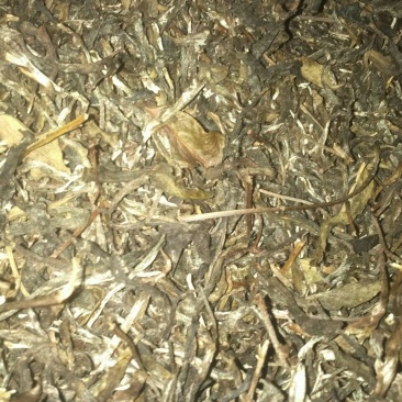 普洱茶