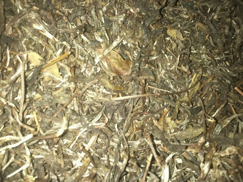 普洱茶