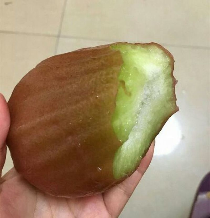 黑金刚莲雾苗