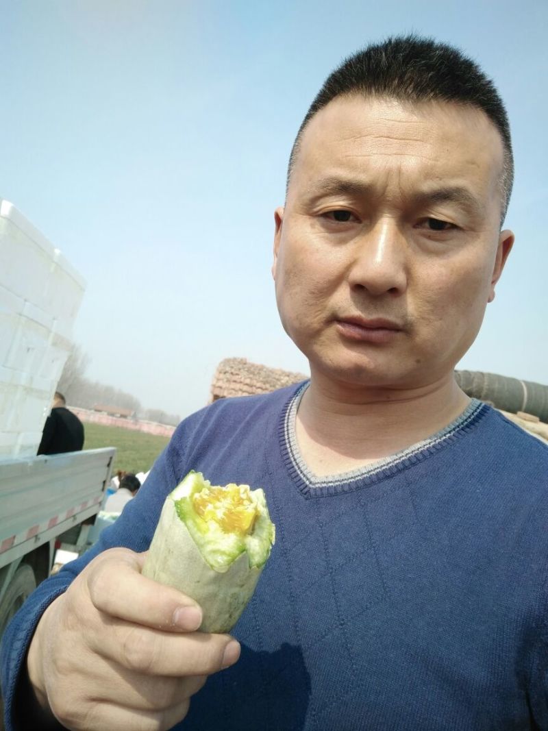 博洋61甜瓜产地直供货源充足质优价廉适合市场批发团购平台