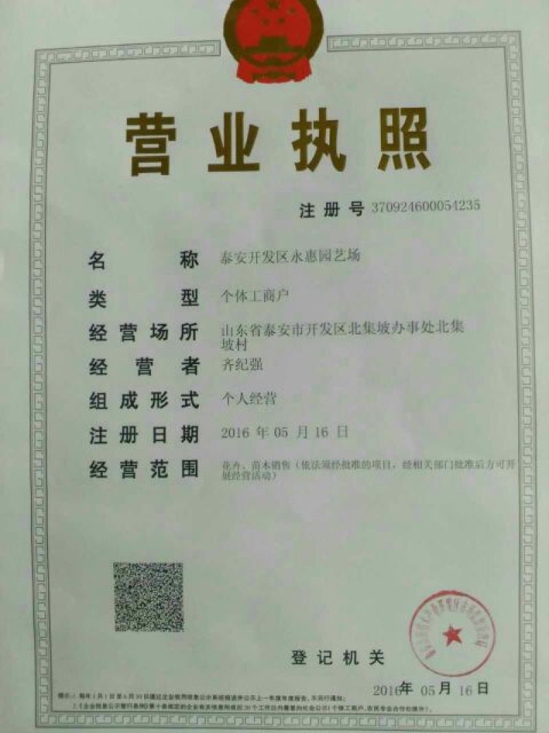 杏树2~4cm4cm以下1.5~2米