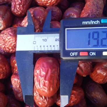 新疆若羌原味灰枣特级原枣味道甜美