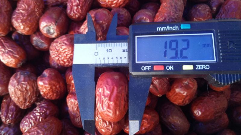 新疆若羌原味灰枣特级原枣味道甜美