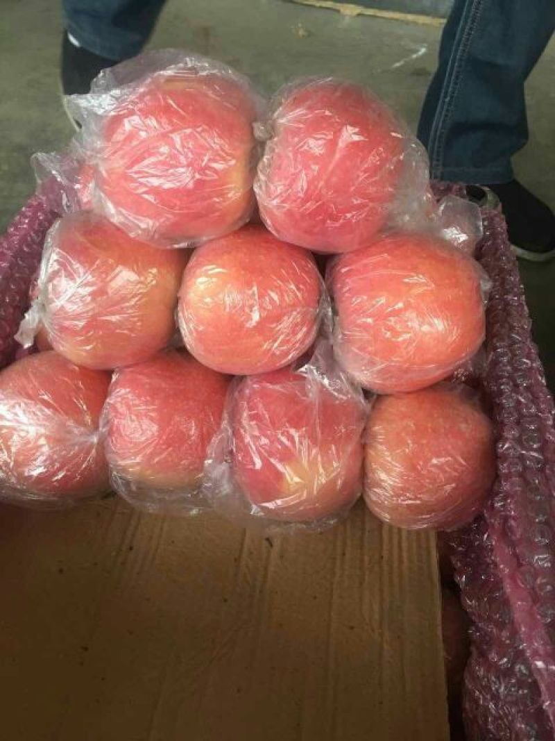 冰糖心苹果大嶷山红富士苹果，