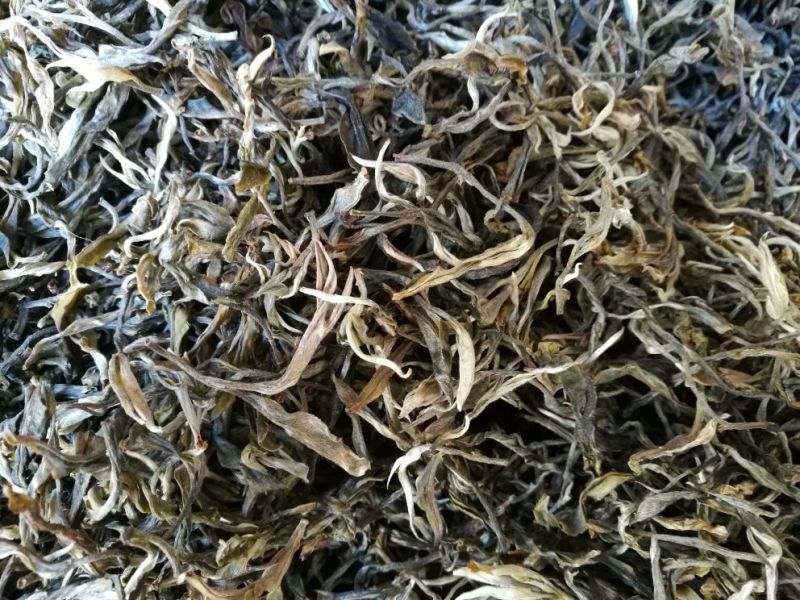 古树普洱茶一级
