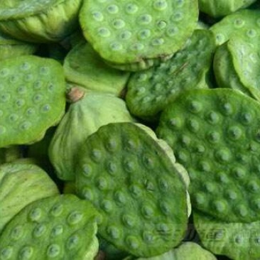 精选新鲜莲蓬水果莲蓬大量供应电商一件代发