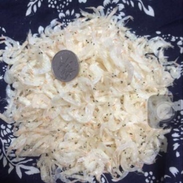 虾皮