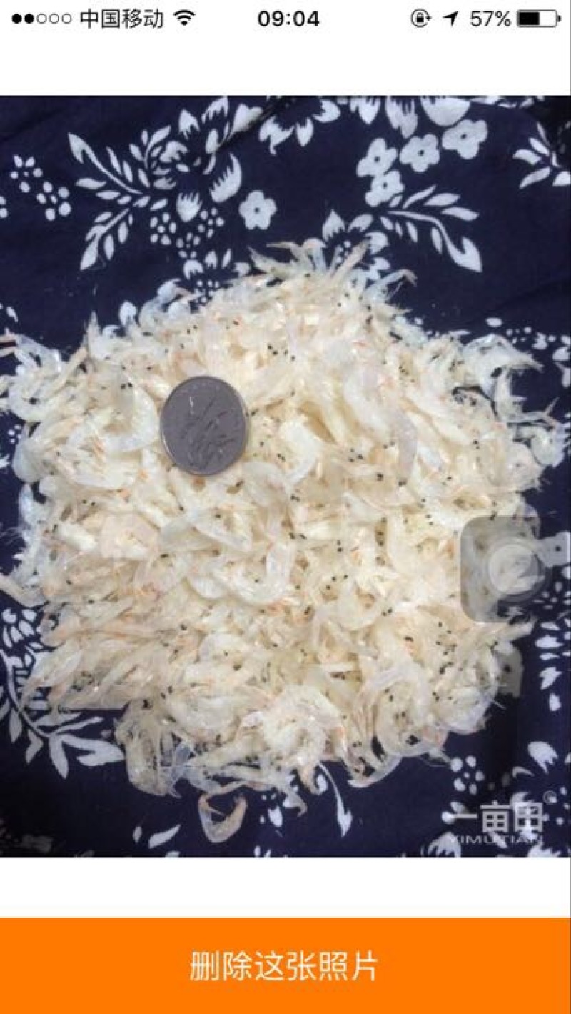 虾皮