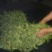 普洱茶