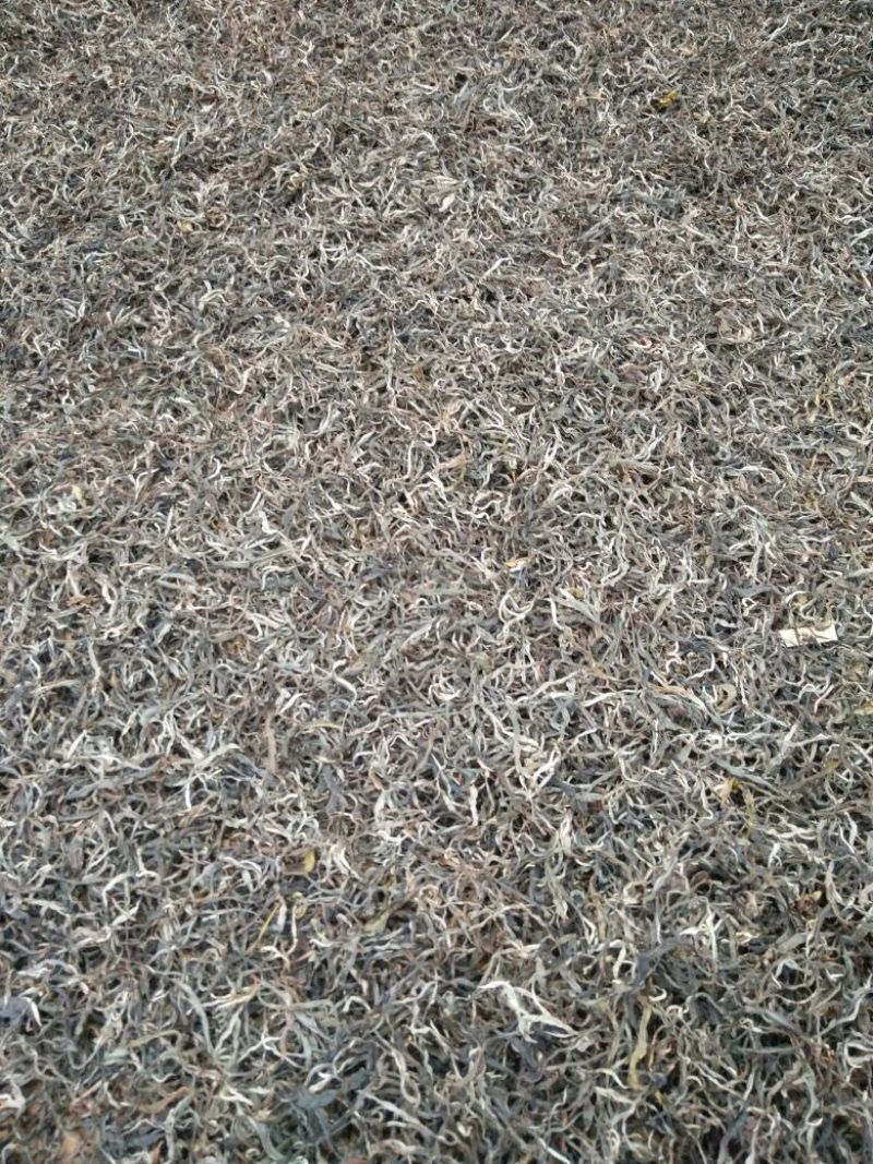 普洱茶