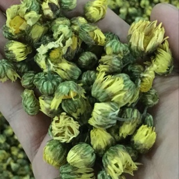白菊花茶