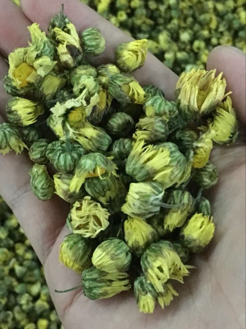 白菊花茶