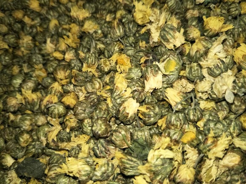 珍珠菊花茶
