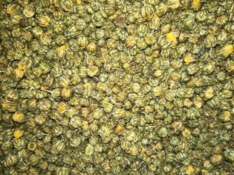 珍珠菊花茶