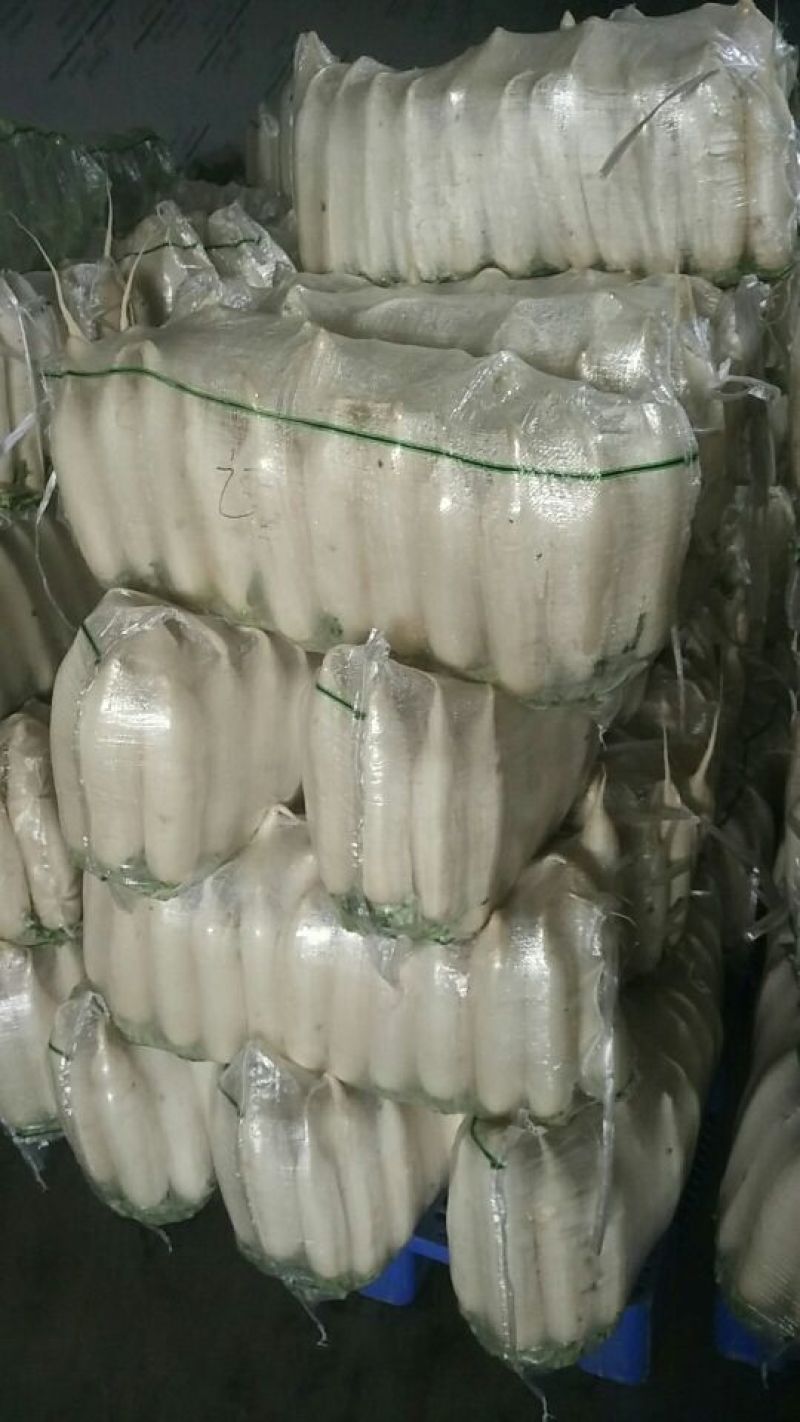 白萝卜1~1.5斤起