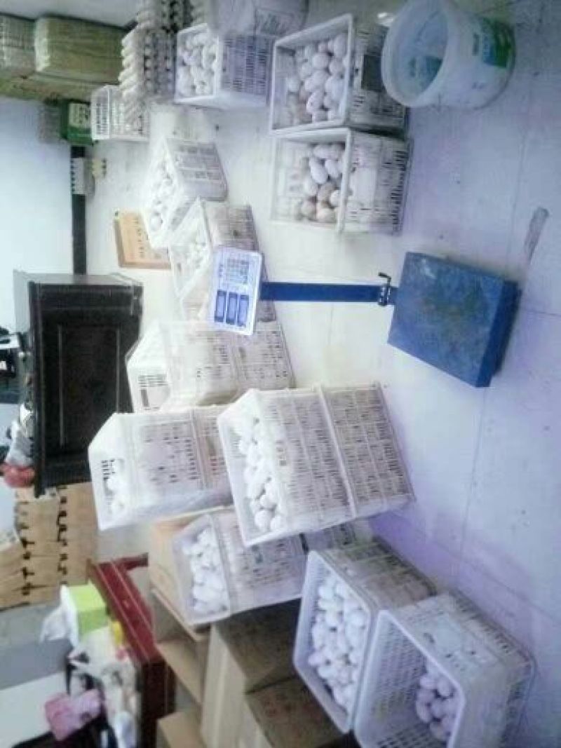 鹅蛋食用