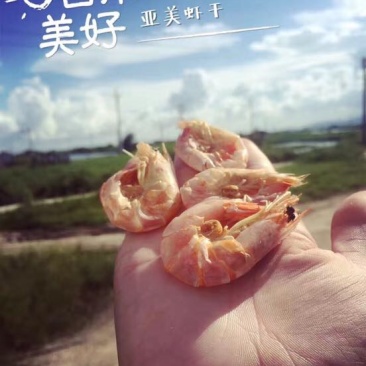 虾干