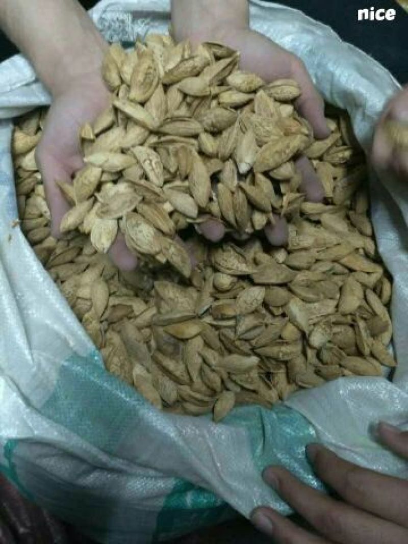 新疆巴旦木袋装