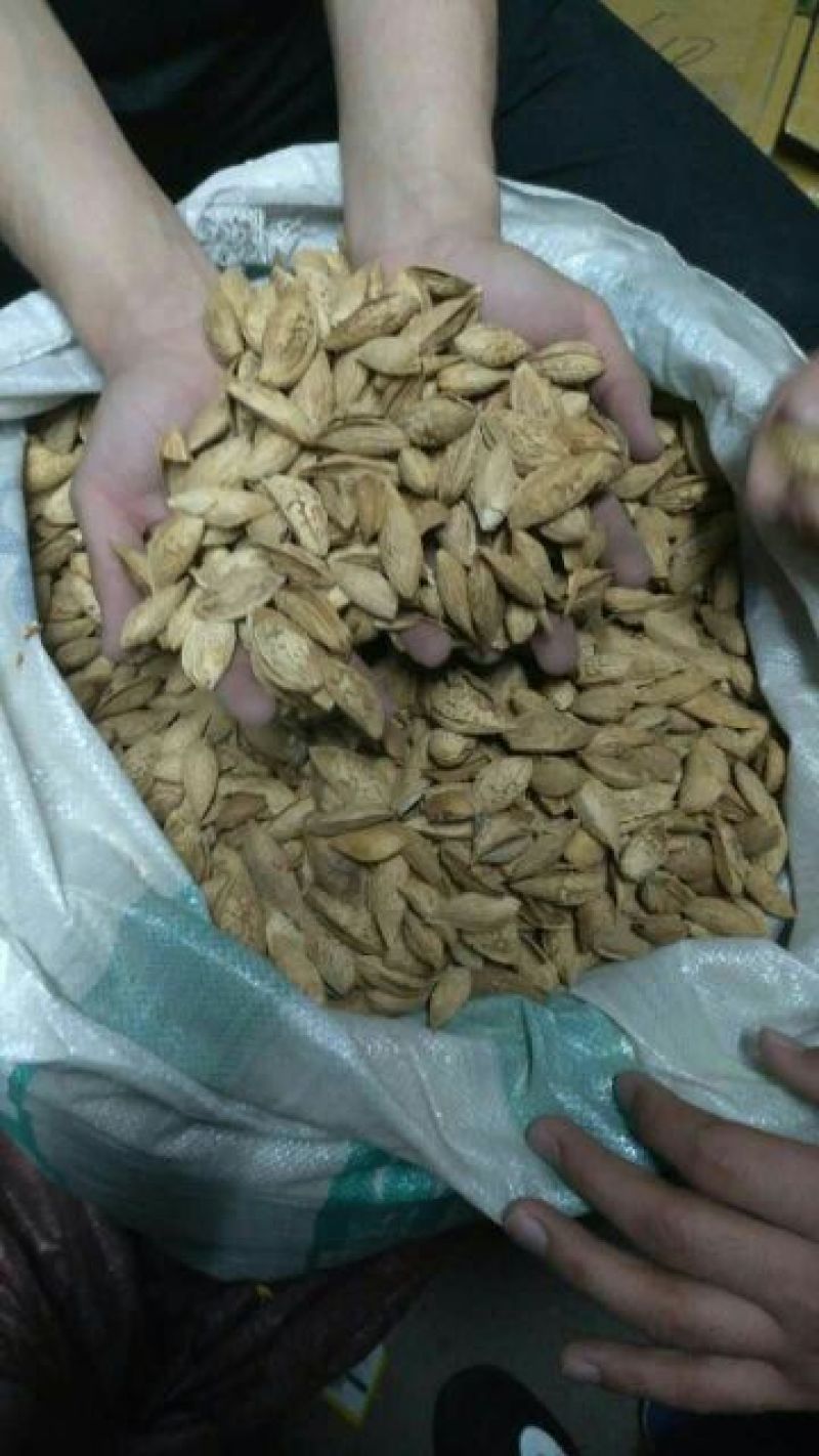 新疆巴旦木袋装