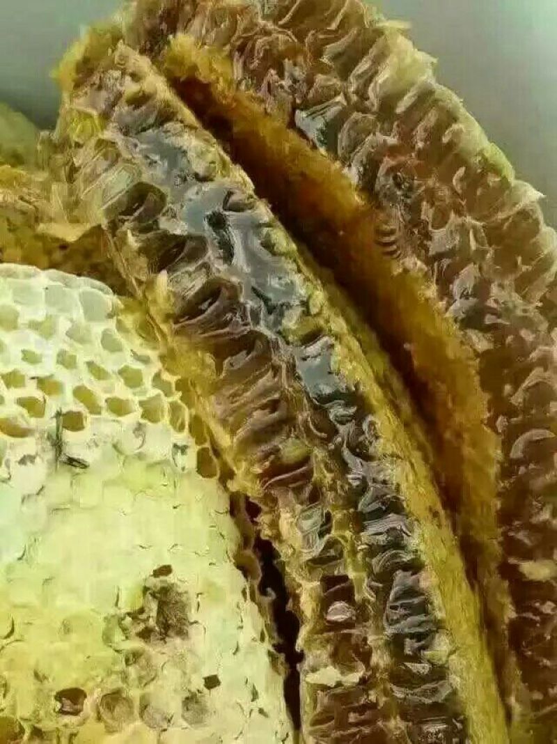 自家养的蜂蜜，纯蜂蜜