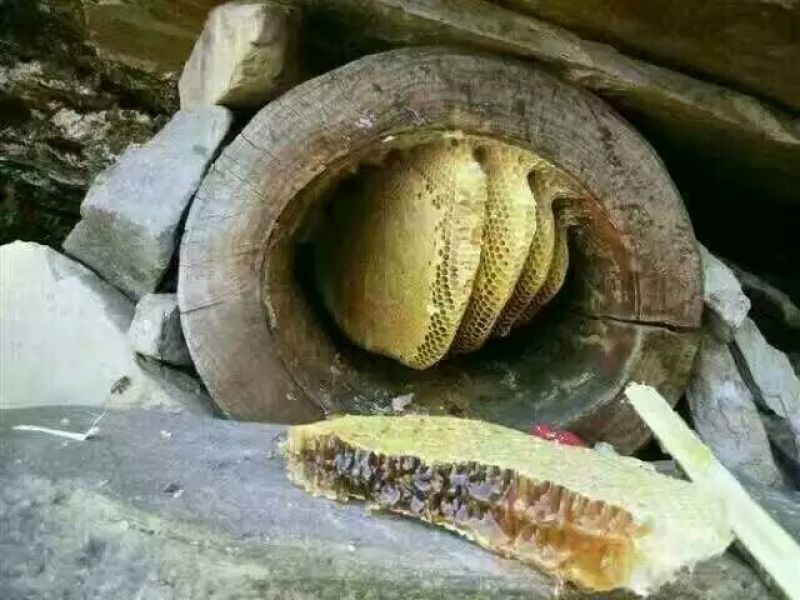 自家养的蜂蜜，纯蜂蜜
