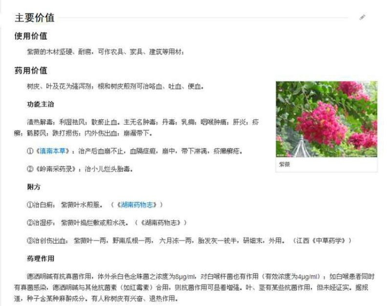 百日红2cm以下0.5~1米1米以下