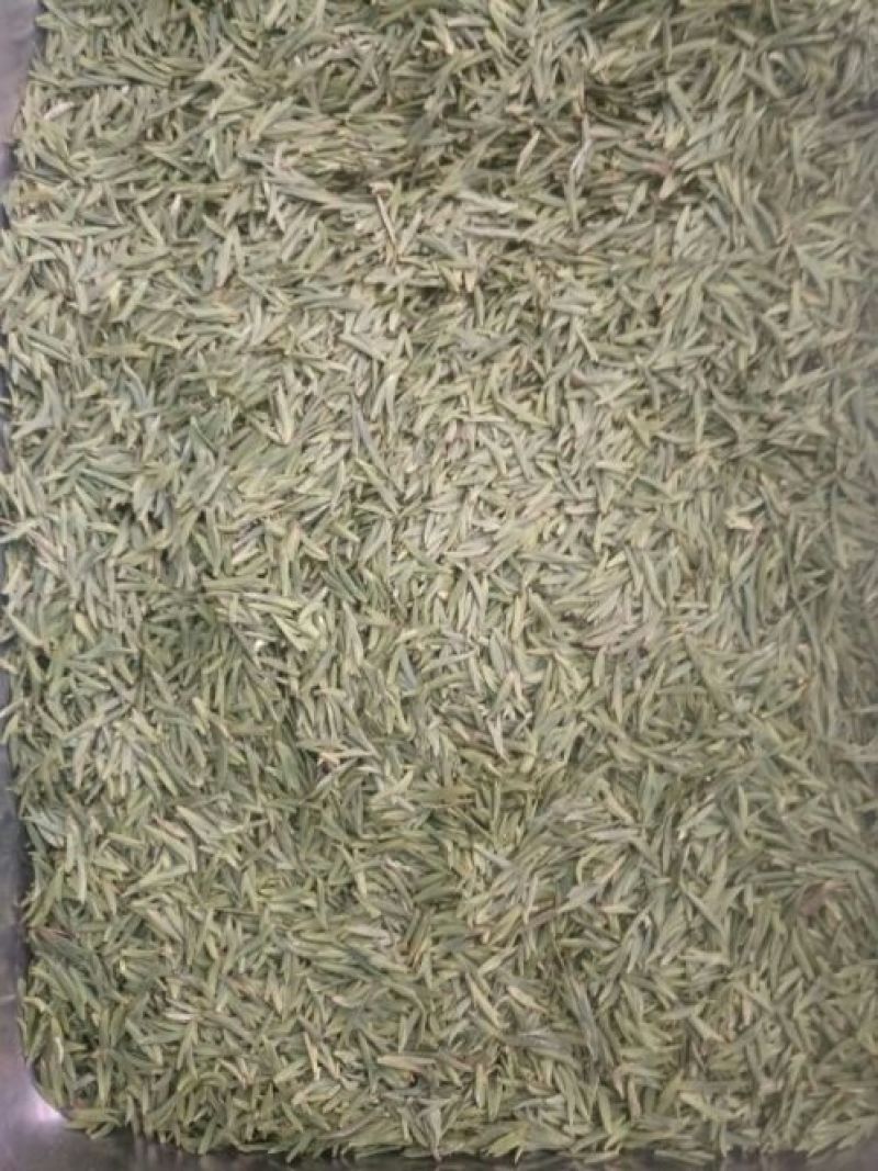 川茶特级