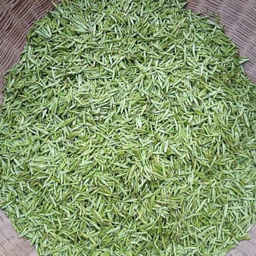 川茶特级