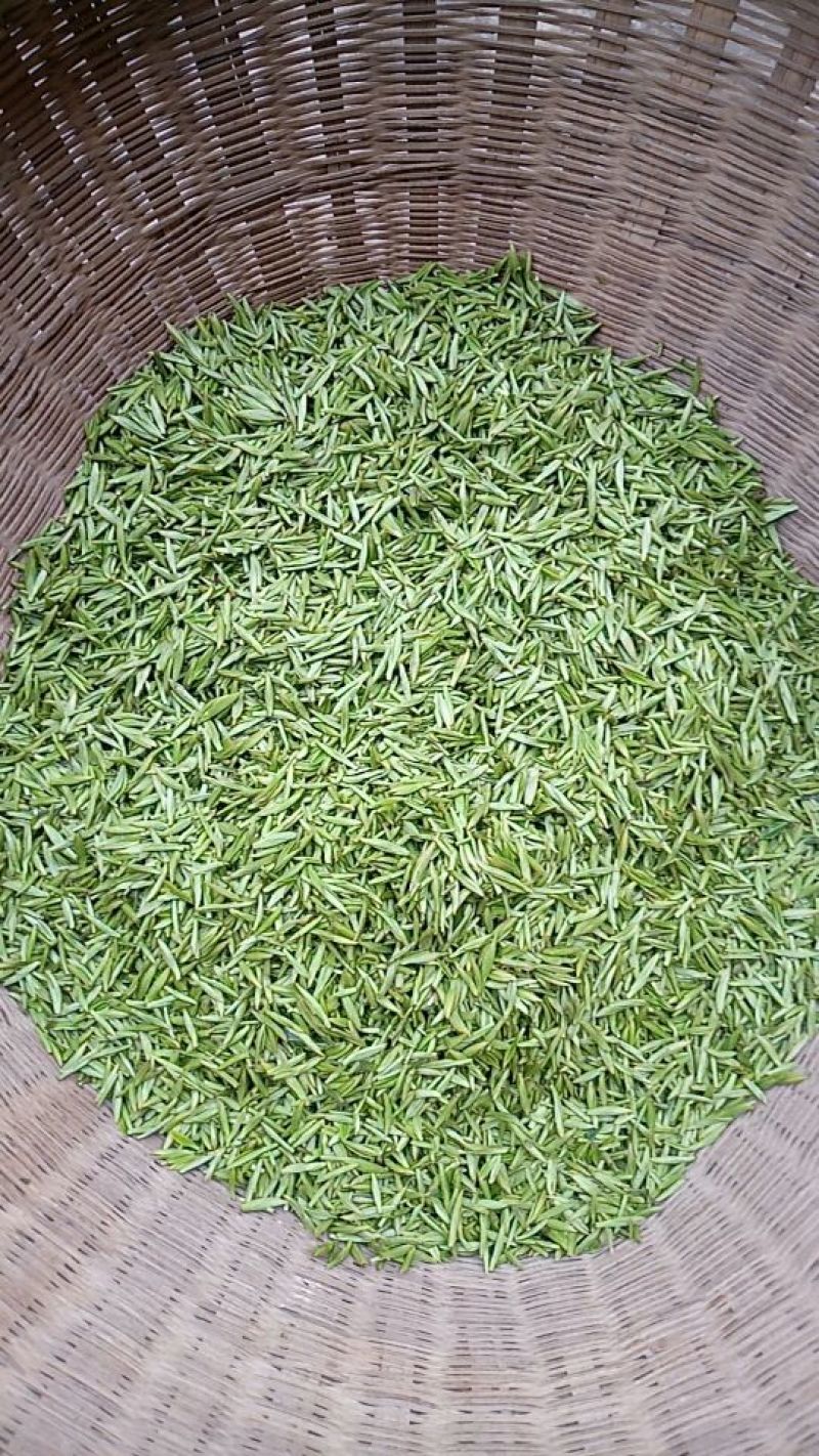 川茶特级