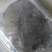 生态甲鱼2.5~3斤