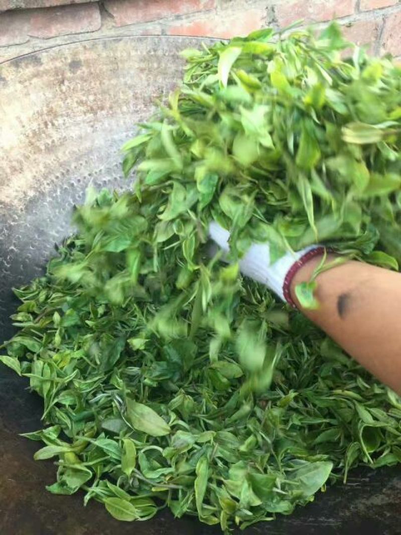 古树普洱茶一级