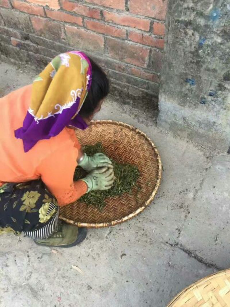 古树普洱茶一级