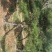 造型松12公分
