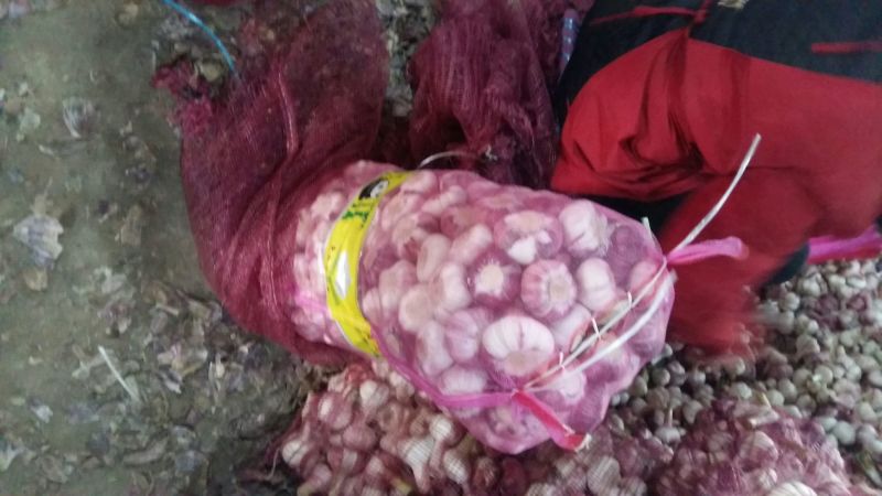 大蒜4.5cm鲜蒜