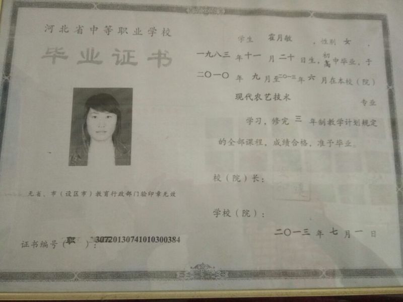 推荐桔梗种子，纯新种子，芽率高，保证质量，诚信行天下
