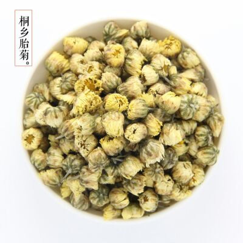 杭州白菊