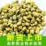 杭州白菊